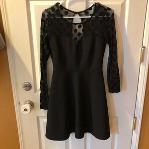 Sheer Polka Dot Skater Dress